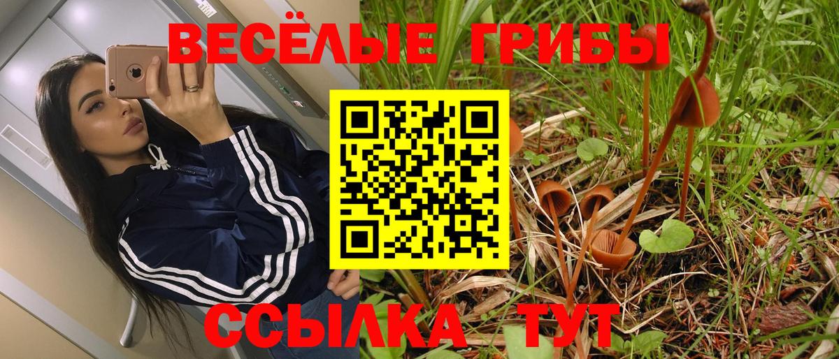 Псилоцибиновые грибы ЛСД Саранск