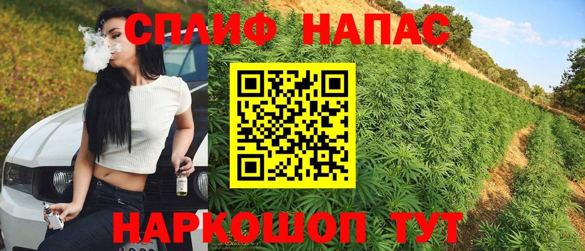 Конопля тримм Саранск